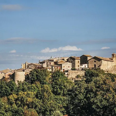 La Casa Degli Artisti * Torre del Colle